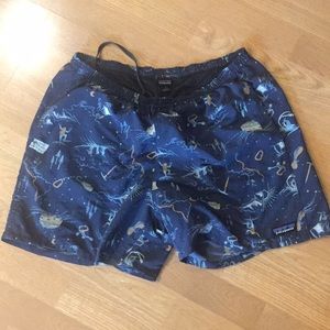 Limited Edition Patagonia 5’ inseam Baggies